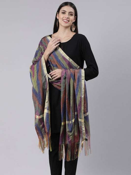 Shades of Deep Palette Ikkat Raw Silk Duppatta | Souchii